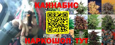 гидропоника Ирбит