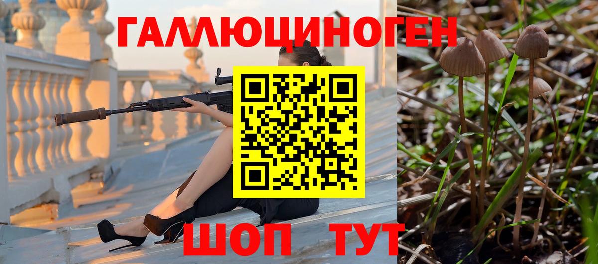 Псилоцибиновые грибы прущие грибы Ханты-Мансийск